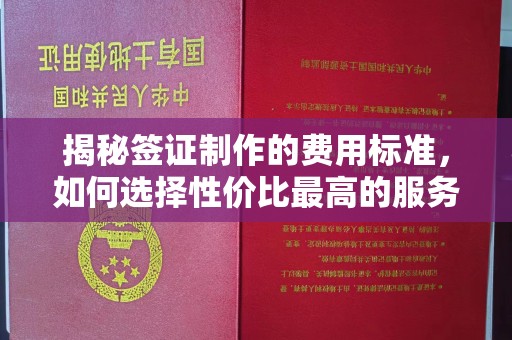 伊通揭秘签证制作的费用标准，如何选择性价比最高的服务？