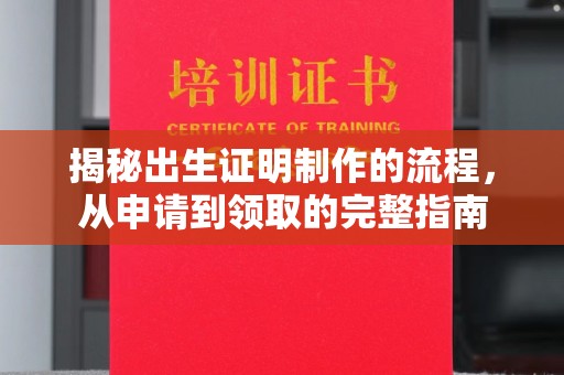 伊通揭秘出生证明制作的流程，从申请到领取的完整指南