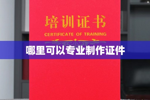伊通哪里可以专业制作证件