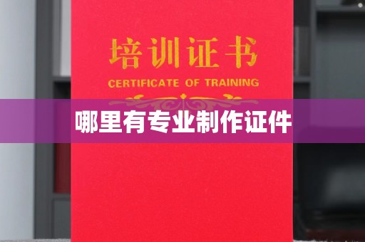伊通哪里有专业制作证件