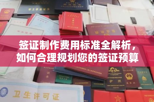 伊通签证制作费用标准全解析，如何合理规划您的签证预算？